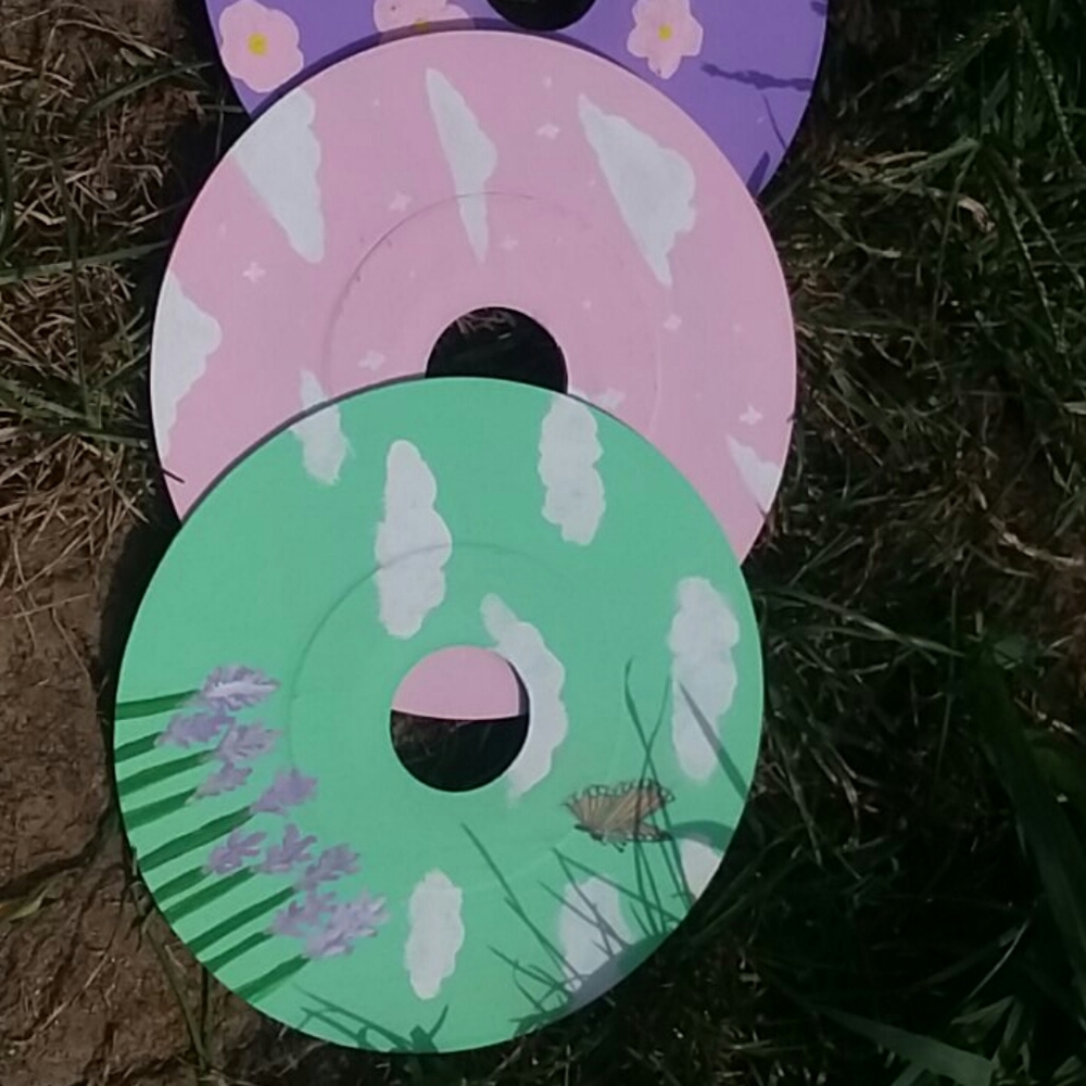 Custom painted vinyl disks